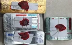 1,250 fake Nicardia tablets seized in Gujarat crackdown on counterfeit drugs