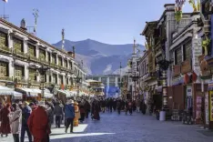 आठ देशों के प्रतिनिधिमंडल ने किया शीत्सांग का दौरा