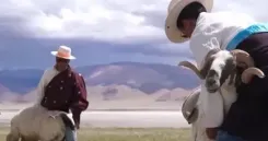 नमक के खेत में समृद्धि की राह : प्राचीन सड़क को मिला नया रूप