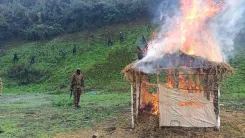 How Many Acres of Illegal Poppy Cultivation Were Destroyed in Manipur?