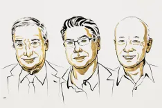 Who Shares the Nobel Prize in Economics for Innovation-Driven Economic Growth?