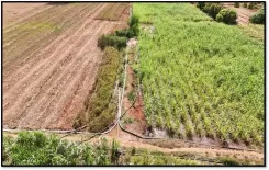 क्या गुजरात में लिफ्ट पाइपलाइन तकनीक ने आदिवासी खेती को बदल दिया है?