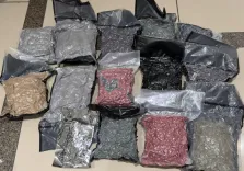 8.9 kg hydroponic marijuana seized at Ahmedabad airport, Mumbai man arrested