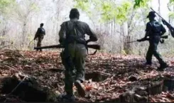 क्या छत्तीसगढ़ में 10 कुख्यात नक्सलियों का खात्मा हुआ, 1 करोड़ का इनामी मनोज भी मारा गया?
