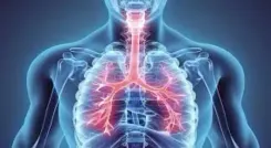 फेफड़े सिर्फ सांस नहीं, जीवन की ऊर्जा का हैं स्रोत, जानिए कैसे