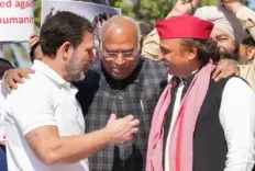 मल्लिकार्जुन खड़गे-राहुल गांधी ने सपा प्रमुख अखिलेश यादव को जन्मदिन की कुछ ऐसे दी बधाई