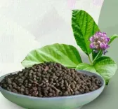 त्वचा रोग हो या डैंड्रफ, कारगर है औषधीय गुणों से भरपूर बाकुची