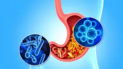 Can a Healthier Gut Enhance Mental Health Conditions Like Depression and Anxiety?