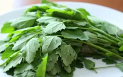 क्या बथुआ आंतों से लेकर जोड़ों तक हमारे शरीर को फिट रखता है?