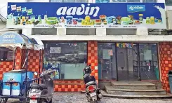 Aavin green packet shortage hits Chennai milk sales by up to 15%