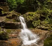 अफ्रीका की जमीन के नीचे दबी है 'दौलत', छुपे खजाने ने बदली जियो पॉलिटिक्स