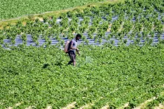 Should Agriculture Be the Cornerstone of National Transformation as per Niti Aayog's Findings?