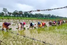 How is AI Transforming Monsoon Forecasting for Farmers?