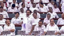 AIADMK, BJP oppose TN delimitation resolution, warn against seat loss