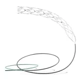 Could the AIIMS-led Trial of the Most Advanced Brain Stent Revolutionize Stroke Treatment?