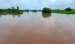 Should PM Modi Increase the Punjab Relief of ₹1,600 Crore?