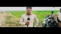 Akhilesh Yadav hails Ghazipur farmers' PDA tribute in maize field
