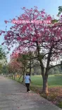 Akhilesh Yadav hails Lucknow beautification, draws London comparison
