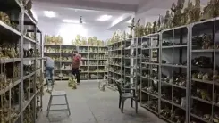 अलीगढ़: कांवड़ यात्रा को लेकर तैयारी जोरों पर, मूर्तियों की बढ़ी डिमांड