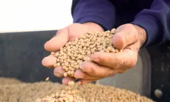 Are American Farmers Facing Tariff Challenges on Costs and Market Changes?