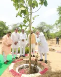 Amit Shah Plants Trees at Delhi Ridge Under 'Ek Ped Maa Ke Naam'