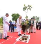 Amit Shah Plants Trees in Gandhinagar's Thalte Ward