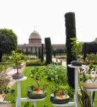 Will Amrit Udyan Welcome Visitors Starting February 3?