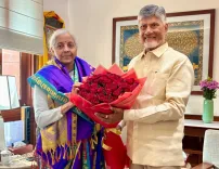 What support did Andhra CM Naidu seek from FM Sitharaman?