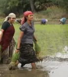 क्या अनुपमा परमेश्वरन ने 'बाइसन' की सफलता पर टीम का धन्यवाद किया?