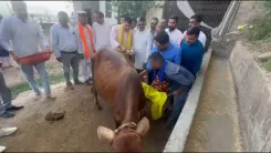 Anurag Thakur Invokes 'Gau Seva' in Cultural Post