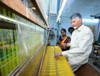 AP CM Naidu Launches 'Nethanna Sevalo' Scheme in Chirala