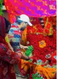 क्या अरविंद अकेला कल्लू ने अदलपुरा शीतला मैया के दर्शन किए?