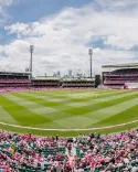 Is SCG Curator Adam Lewis Satisfied with the Pitch Color Ahead of the Fifth Ashes Test?