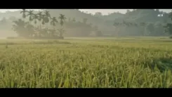 Assam declares Boirjuli its third Biodiversity Heritage Site