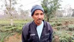 असम में चाय बागान श्रमिकों ने मोदी-सरमा सरकार का आभार जताया, पट्टा मिलने से घर-भविष्य सुरक्षित होने की खुशी