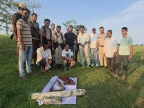 Kaziranga poaching bust: Three suspects held, arms seized in Assam