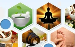 क्या आयुर्वेद में छुपा है सेहत का खजाना? हर अंग के लिए है विशेष औषधि