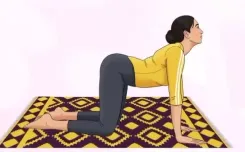 क्या कमर, गर्दन और कंधों के दर्द से परेशान हैं? मार्जरी-बिटिलासन है समाधान