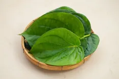 पान के पत्ते: यूरिक एसिड को नियंत्रित करने और मसूड़ों के दर्द में राहत देने वाला प्राकृतिक उपाय