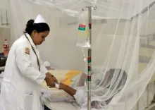 Bangladesh dengue deaths hit 87 in September, highest monthly toll of 2026
