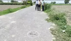 बवाना मर्डर केस : मंजीत महाल के भांजे की हत्या में नंदू गैंग का नाम उभरा