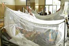 What is the latest dengue death toll in Bangladesh?