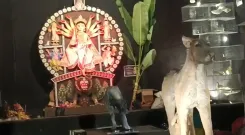 क्या बेलूर में दुर्गा पूजा की ‘साइलेंट’ थीम जानवरों के प्रति सहानुभूति और संरक्षण का संदेश देती है?
