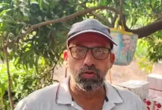 बेमौसम बारिश-ओलावृष्टि से रायगढ़ के आम किसानों पर संकट, मात्र 20-25%25 फसल, सरकार से राहत की मांग