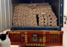 Bengal mango export to Dubai: 10% spoiled in Gulf crisis sea delay