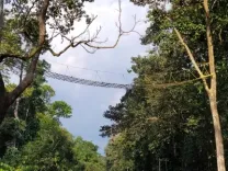 Did the Bengal Government Overlook Warnings About Forest Loss in Darjeeling Hills?