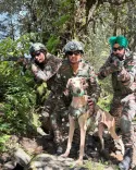 युद्ध अभ्यास 2026: भारतीय सेना के सैन्य डॉग्स ने अमेरिकी सैनिकों के सामने दिखाया दम, रामपुर हाउंड की खास भूमिका