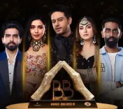 क्या आज 'बिग बॉस 19' का ग्रैंड फिनाले है?