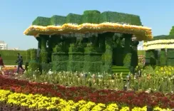 Bigger, brighter, bloomier: 2026 Ahmedabad Flower Show promises a visual feast