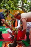Bihar CM Samrat Choudhary Plants Trees, Urges Mass Green Drive